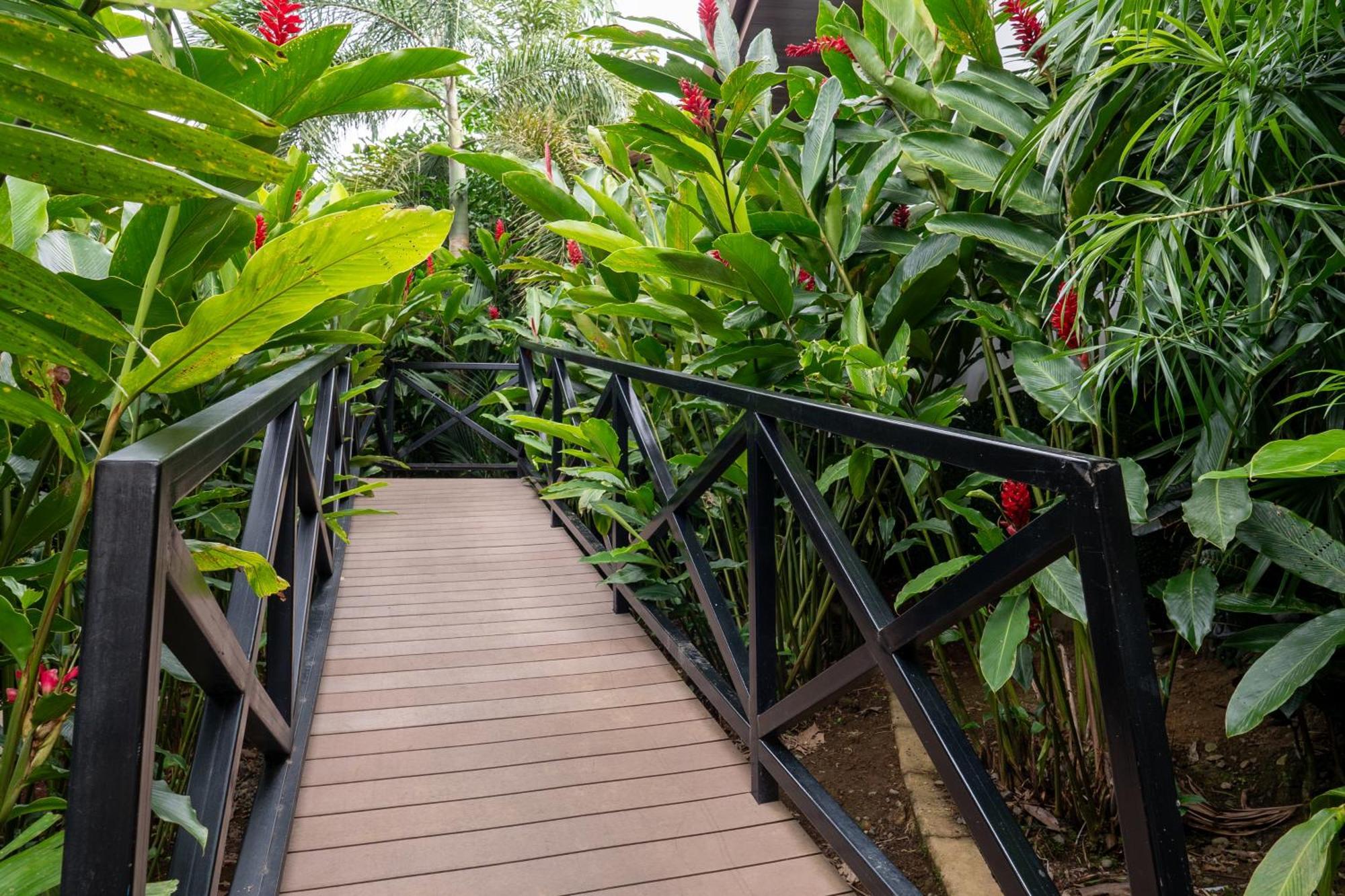 La Fortuna Hotel Boutique Casa Del Rio מראה חיצוני תמונה